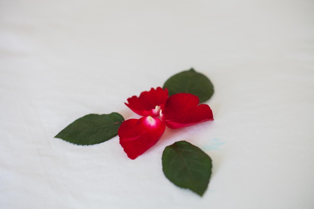 Sapa Tulip Hotel Kültér fotó